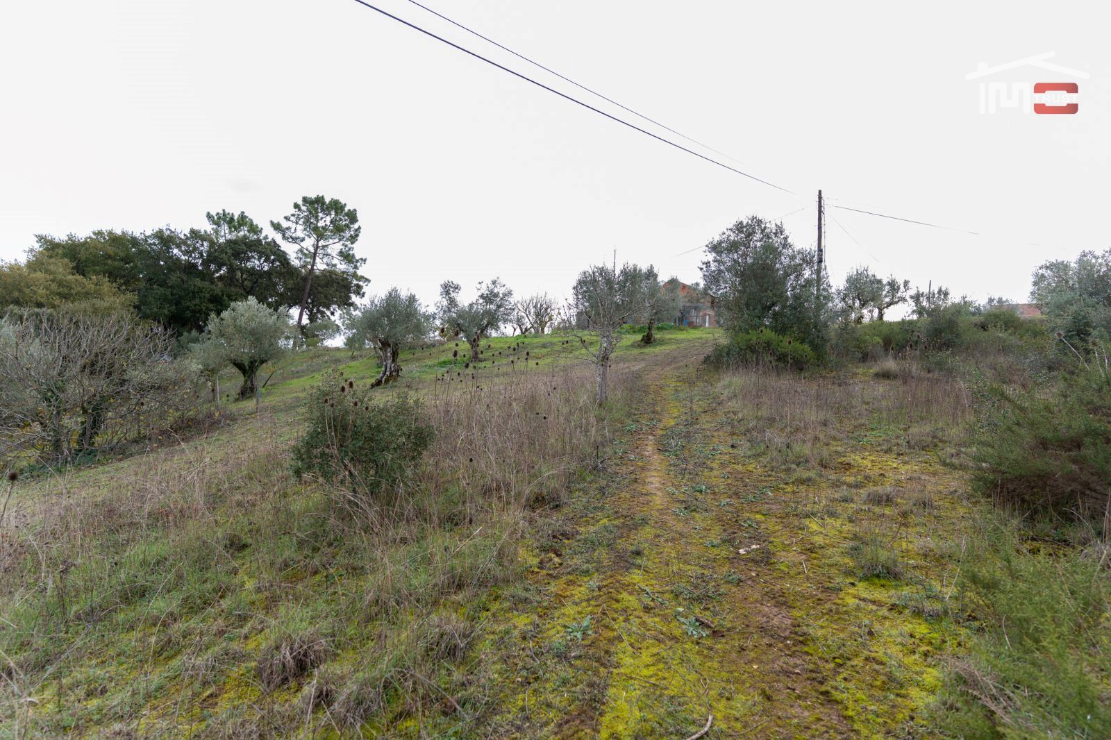 Terreno P/ Prédio para Venda em Atouguia