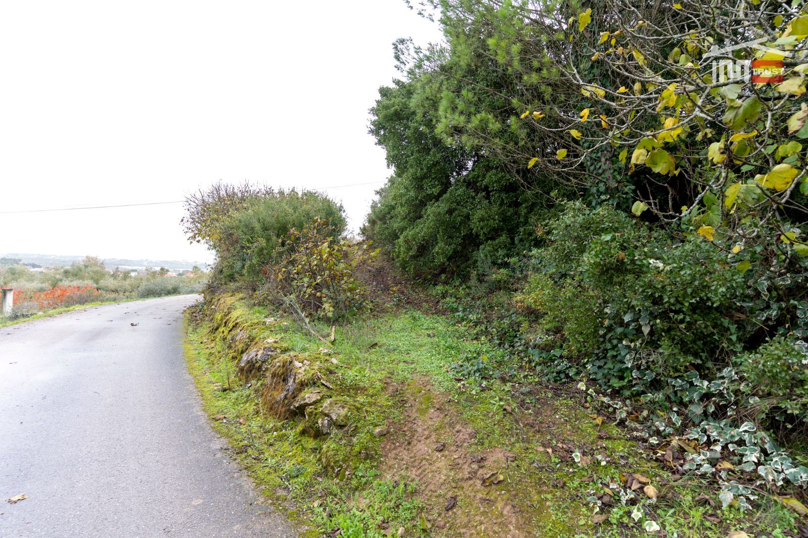 Terreno P/ Prédio para Venda em Atouguia
