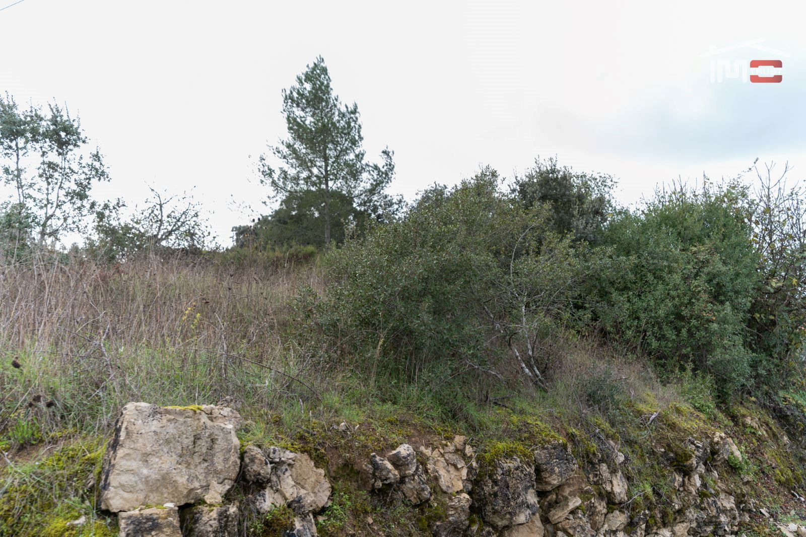 Terreno P/ Prédio para Venda em Atouguia