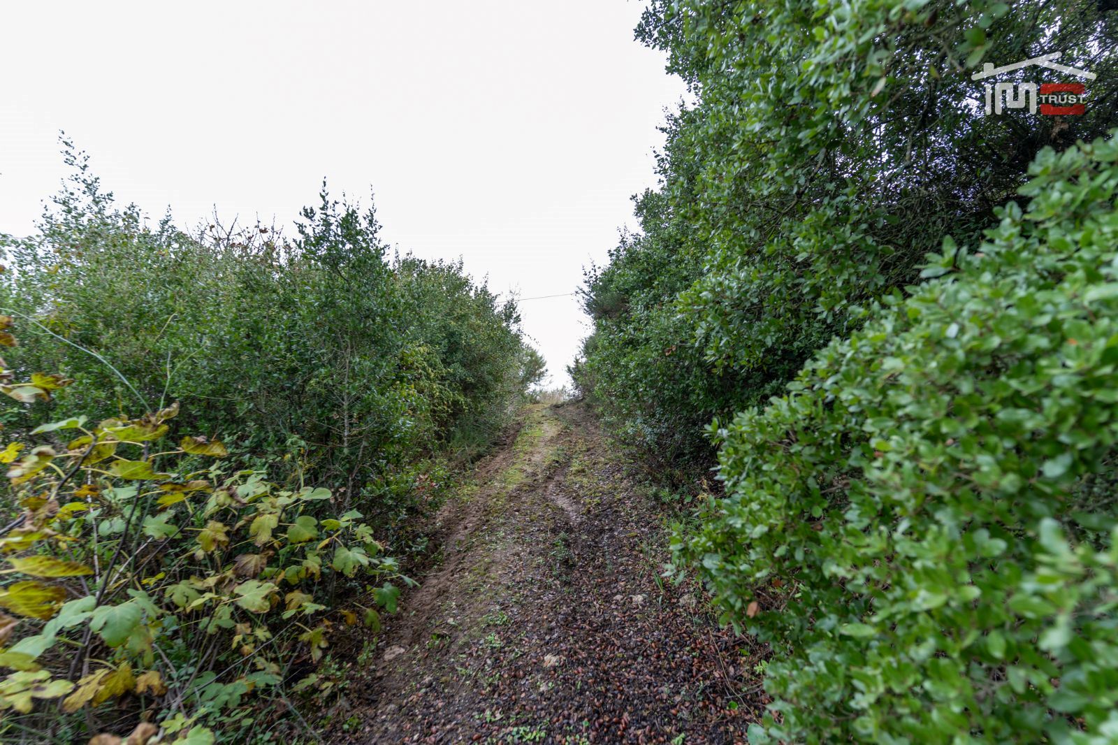 Terreno P/ Prédio para Venda em Atouguia