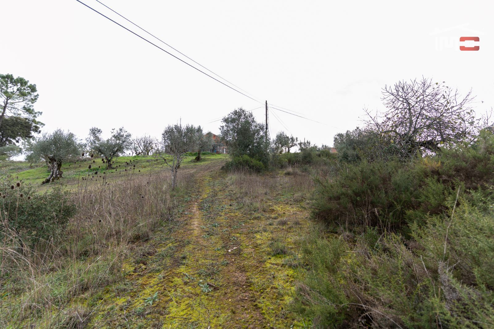 Terreno P/ Prédio para Venda em Atouguia