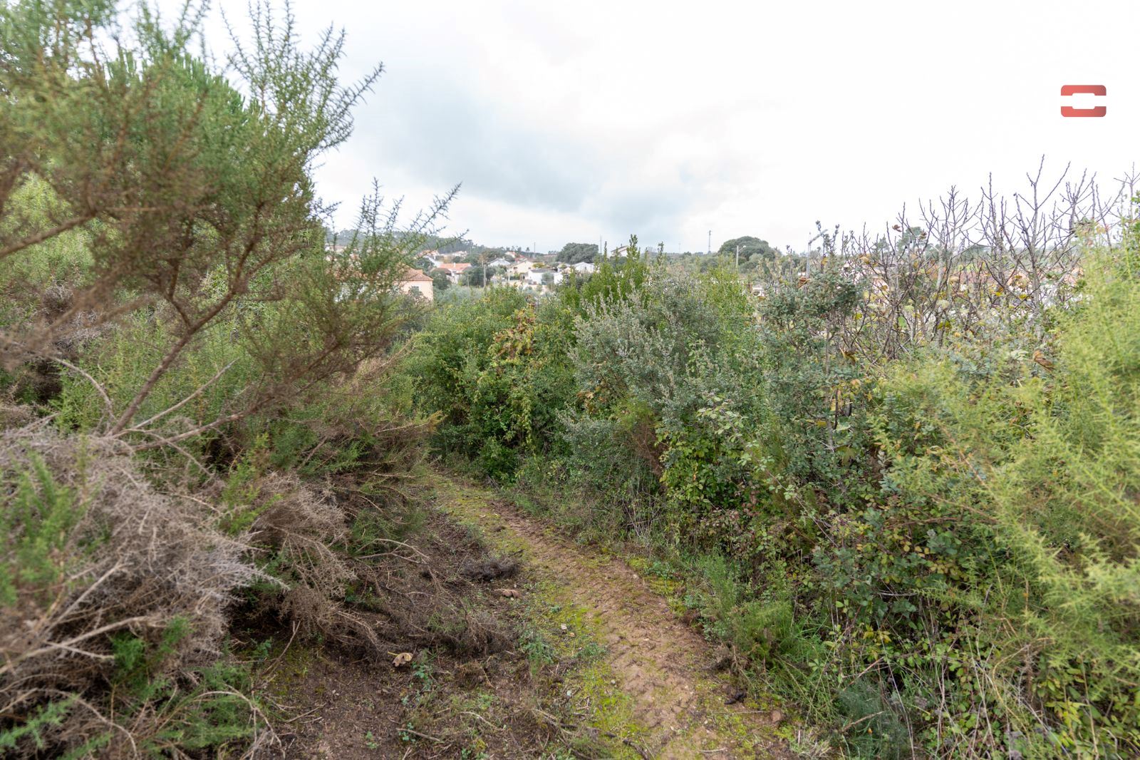 Terreno P/ Prédio para Venda em Atouguia