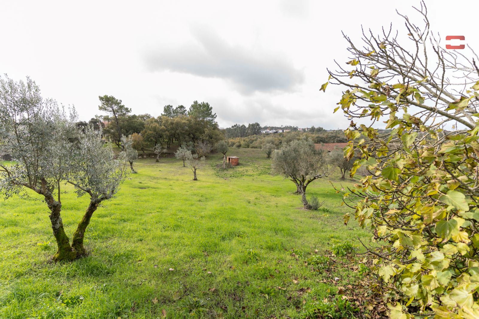 Moradia T0 para Venda em Atouguia