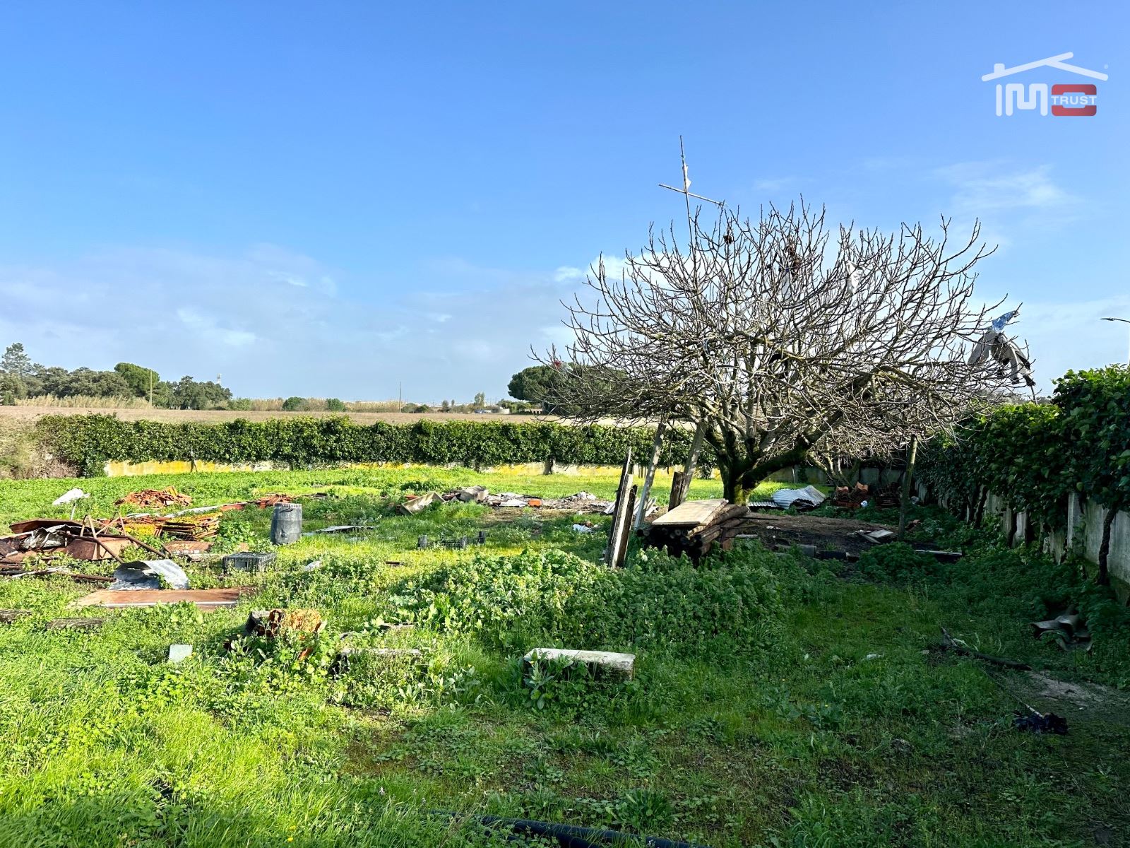 Terreno para Venda em Moita