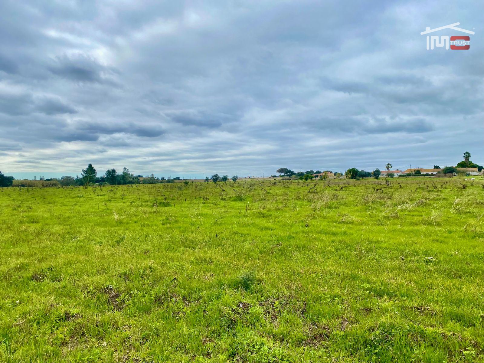 Terreno Agricola ou Rústico para Venda em Poceirão e Marateca