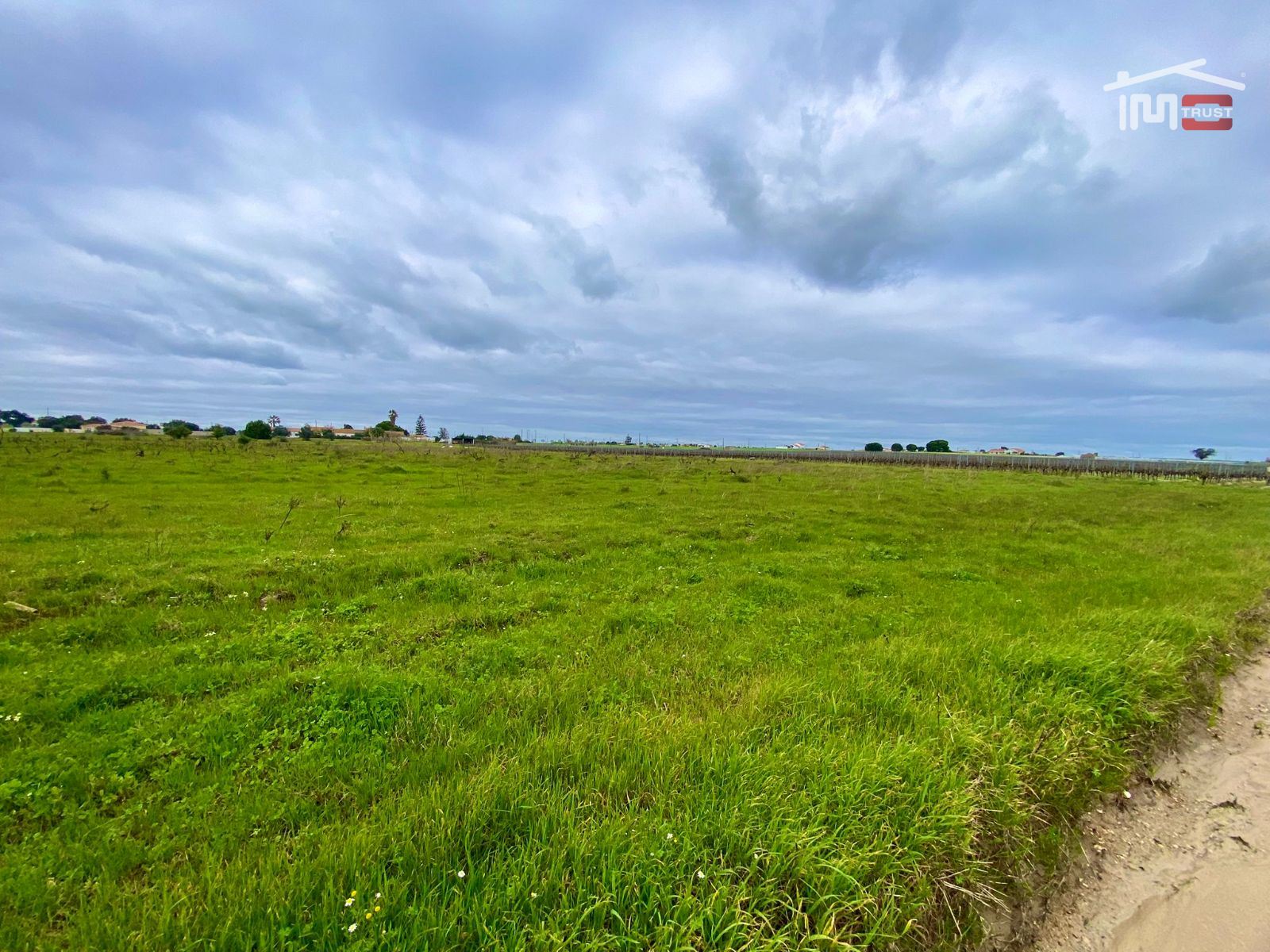 Terreno Agricola ou Rústico para Venda em Poceirão e Marateca