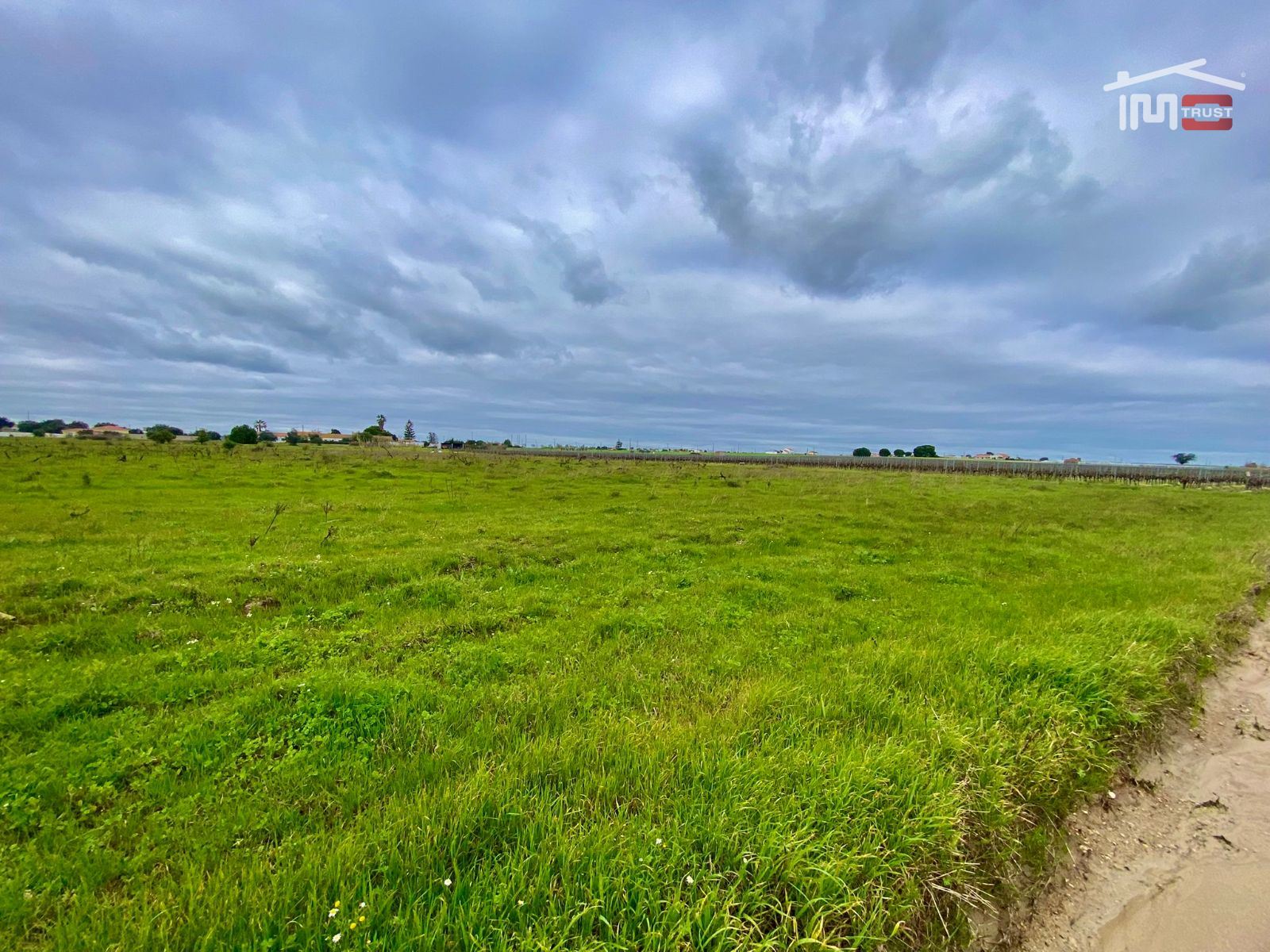 Terreno Agricola ou Rústico para Venda em Poceirão e Marateca