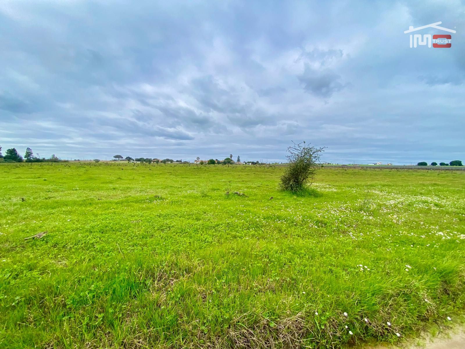 Terreno Agricola ou Rústico para Venda em Poceirão e Marateca