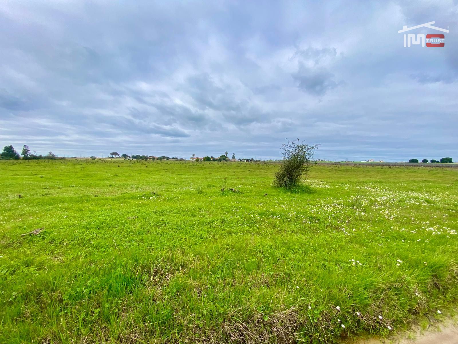 Terreno Agricola ou Rústico para Venda em Poceirão e Marateca