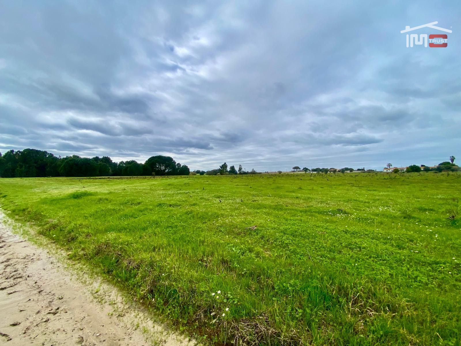 Terreno Agricola ou Rústico para Venda em Poceirão e Marateca