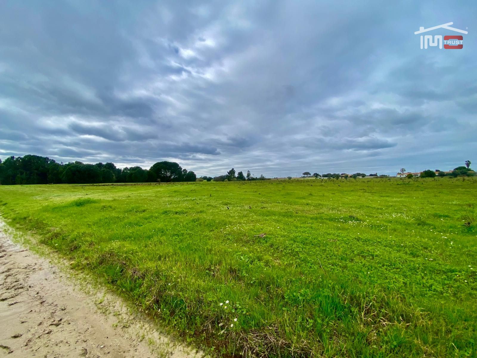 Terreno Agricola ou Rústico para Venda em Poceirão e Marateca