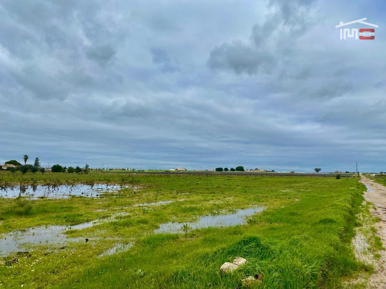 Terreno Agricola ou Rústico para Venda em Poceirão e Marateca