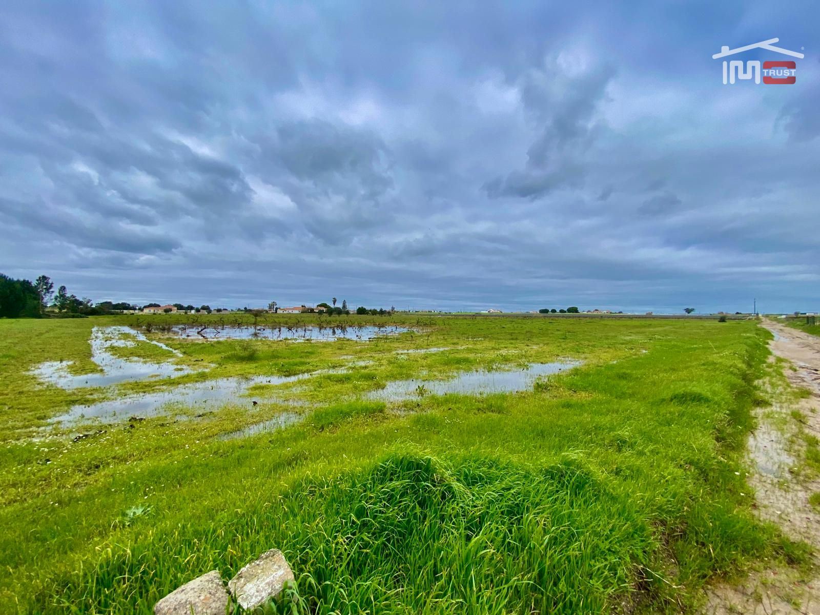 Terreno Agricola ou Rústico para Venda em Poceirão e Marateca