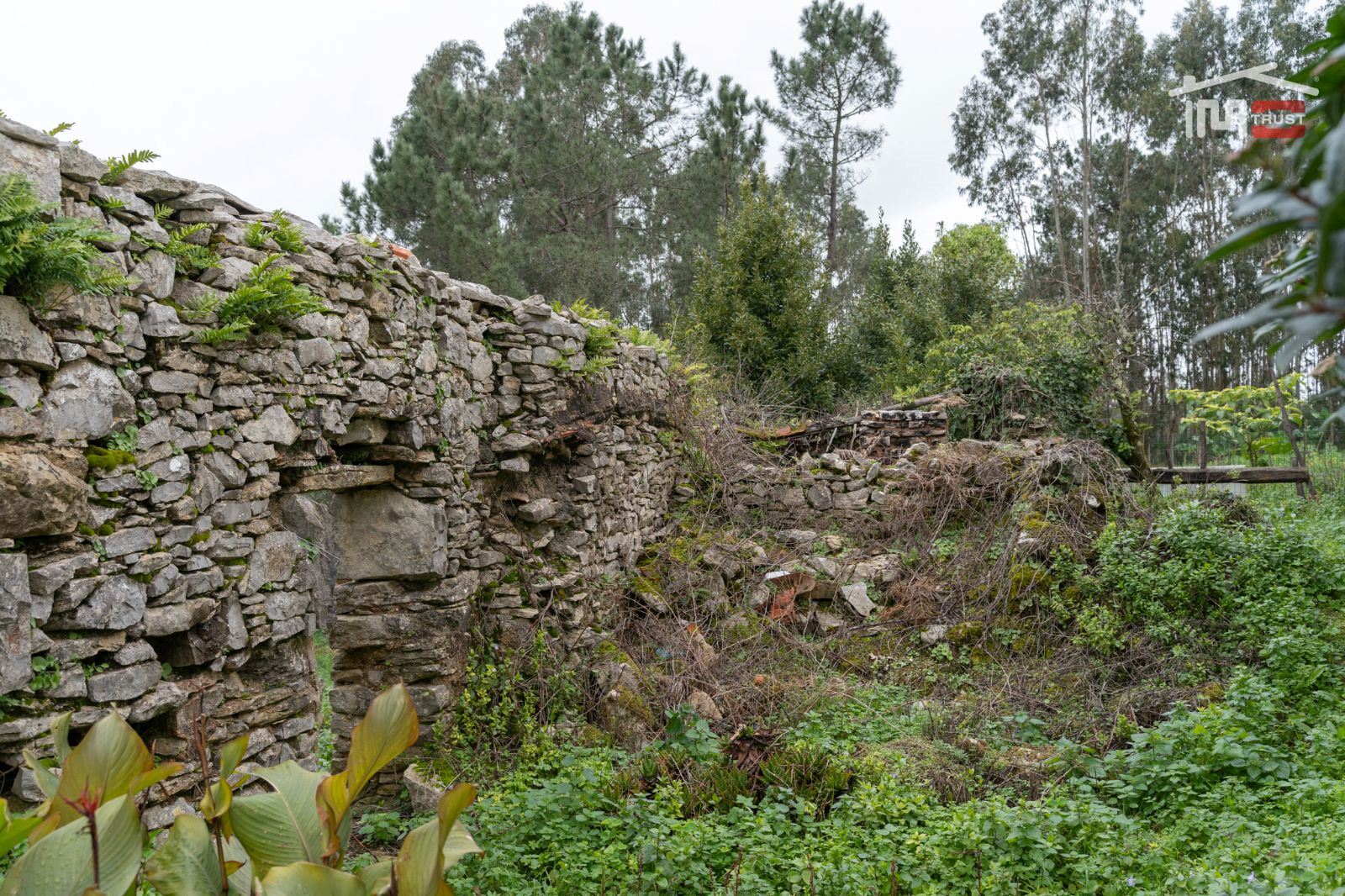 Moradia T2 para Venda em São Mamede