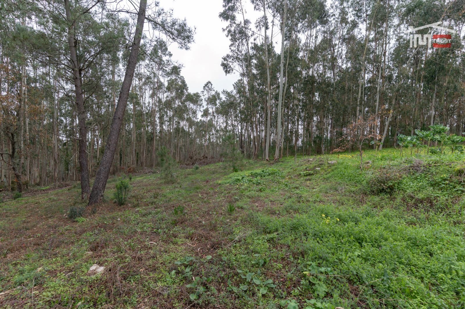 Moradia T2 para Venda em São Mamede