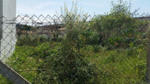 Terreno mixto, para Compra