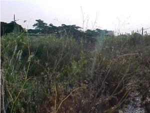 Terreno rústico para Compra